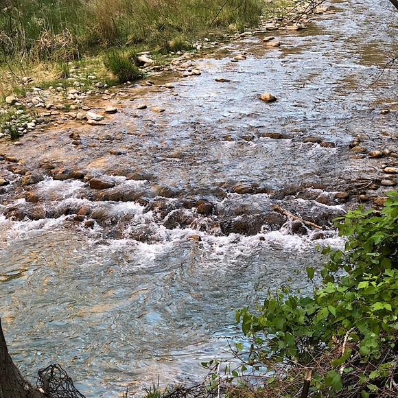 CALM - Picture 2 of 2